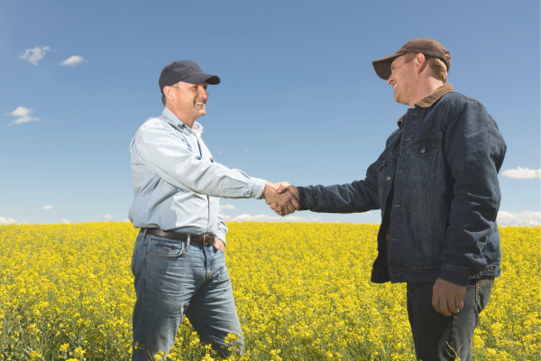 Using Common Ground to Write Agreements You can Understand.